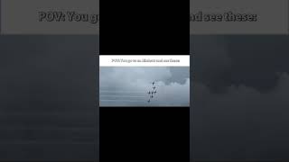 RIP Canadian Snowbirds, fly high😔 -Edit made my MW-AVGEEK #avaition #aircraft #fyp #viral #discord