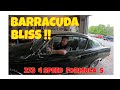 Barracuda bliss    273 4 speed formula s