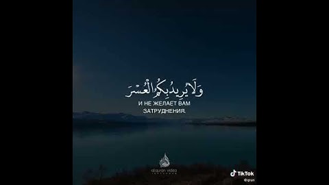 🍃🌹🍃شهر رمضان الذي انزل فيه القران🍃🌹🍃تلاوة هادئة تريح القلوب🍃🌹🍃رمضان كريم🍃🌹🍃