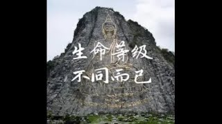 201411 生命等级不同而已32221