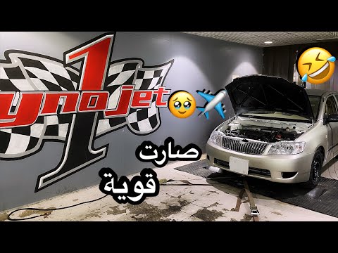 نزلت كورلا الطيبين على الداينو كم تتوقعون جابت حصان