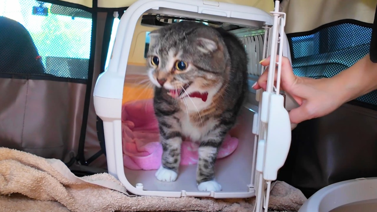 大学病院で精密検査を受けたら衝撃の事実が判明して身バレもしました😭