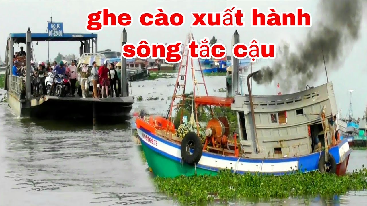 GHE CÀO XUẤT HÀNH TẠI SÔNG TẮC CẬU