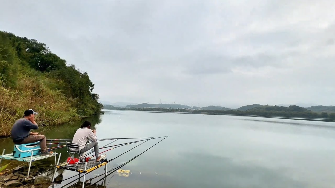 六百斤窩料沒白打，下竿就圓夢青魚，居然還能連上兩條！ 【野釣長空】