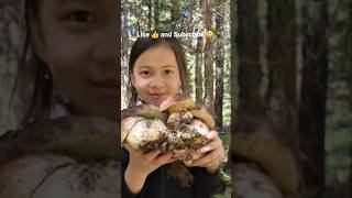 Spring King Boletes 🍄 #mushroom #foraging  #boletus