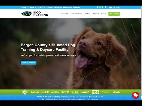 Kathy Santo Dog Training Client Portal Demo