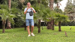 видео: ПРОГУЛКА ПО СОЧИ | ДЕНДРАРИЙ | ЦИРК 🤡 ПЛЯЖ 🏝️🌊 картинка: ПРОГУЛКА ПО СОЧИ | ДЕНДРАРИЙ | ЦИРК 🤡 ПЛЯЖ 🏝️🌊