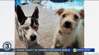 Pet-entially Yours: Cody and Spencer