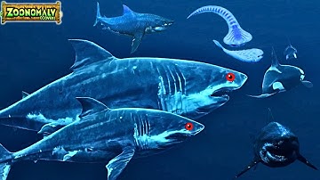 🌊 The Bloop of Evolution – Deep Sea Mystery | Zoonomaly Theme Song