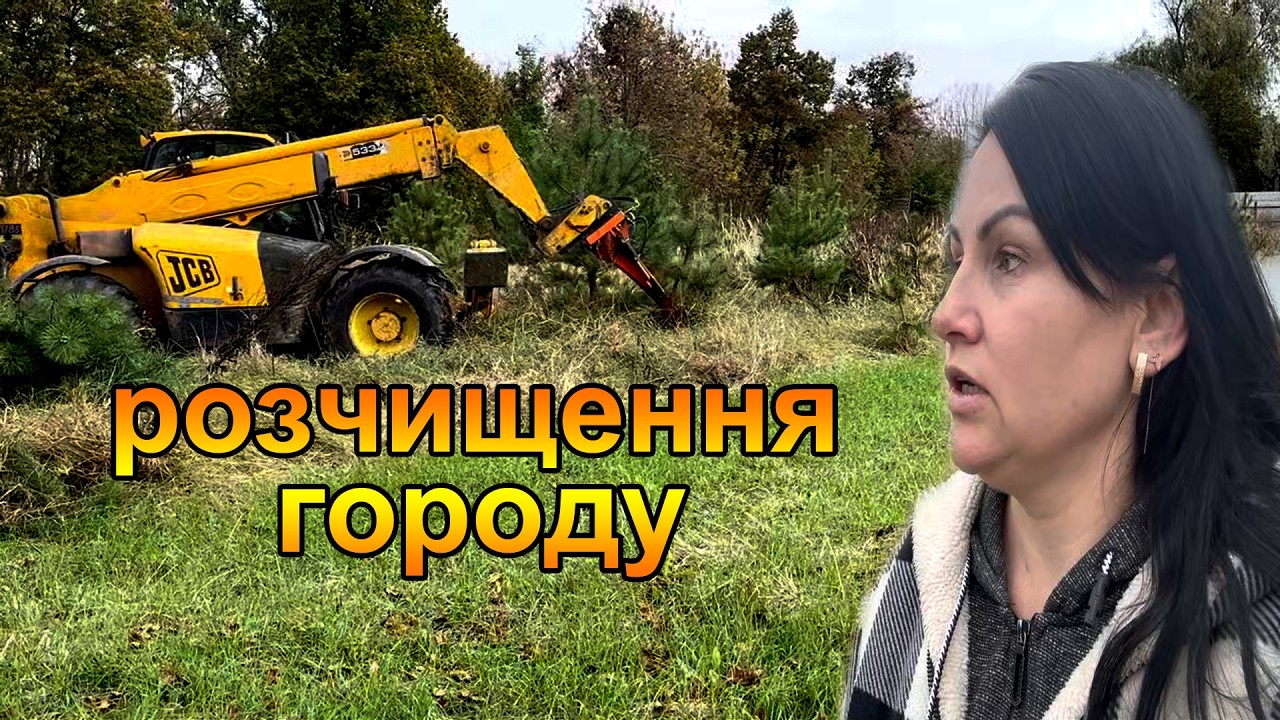 Прибираємо ялинки та інші дерева з городу. Життя в селі