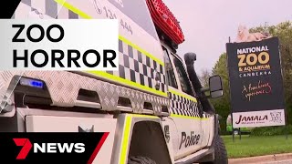 A woman has been stabbed to death at the National Zoo in Canberra | 7 News Australia