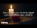Los Rieleros Del Norte - Vas A Llorar aka Yo Fui El Mejor (Visualizer)