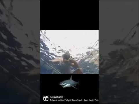 Videó: A fáklyák megijesztik a cápákat?