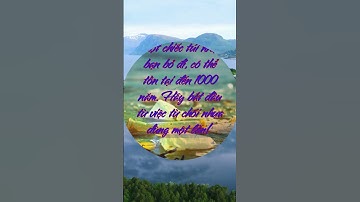 Cứu Lấy Biển Cả – Cùng Nhau Giảm Nhựa Và Bảo Vệ Hành Tinh! #racthainhua #onhiemnhua