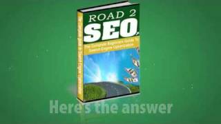 SEO Books | Learn Search Engine Optimization Through My SEO eBook Guide | Learning SEO Secrets
