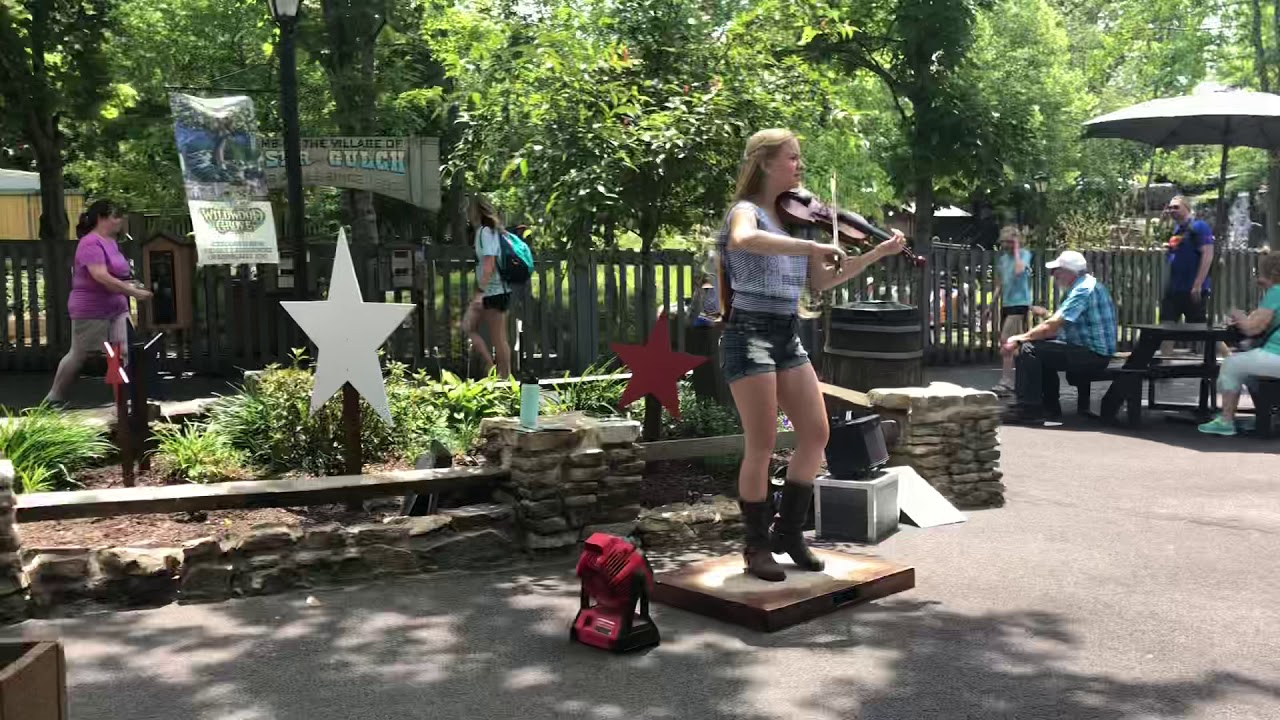 Dollywood entertainment