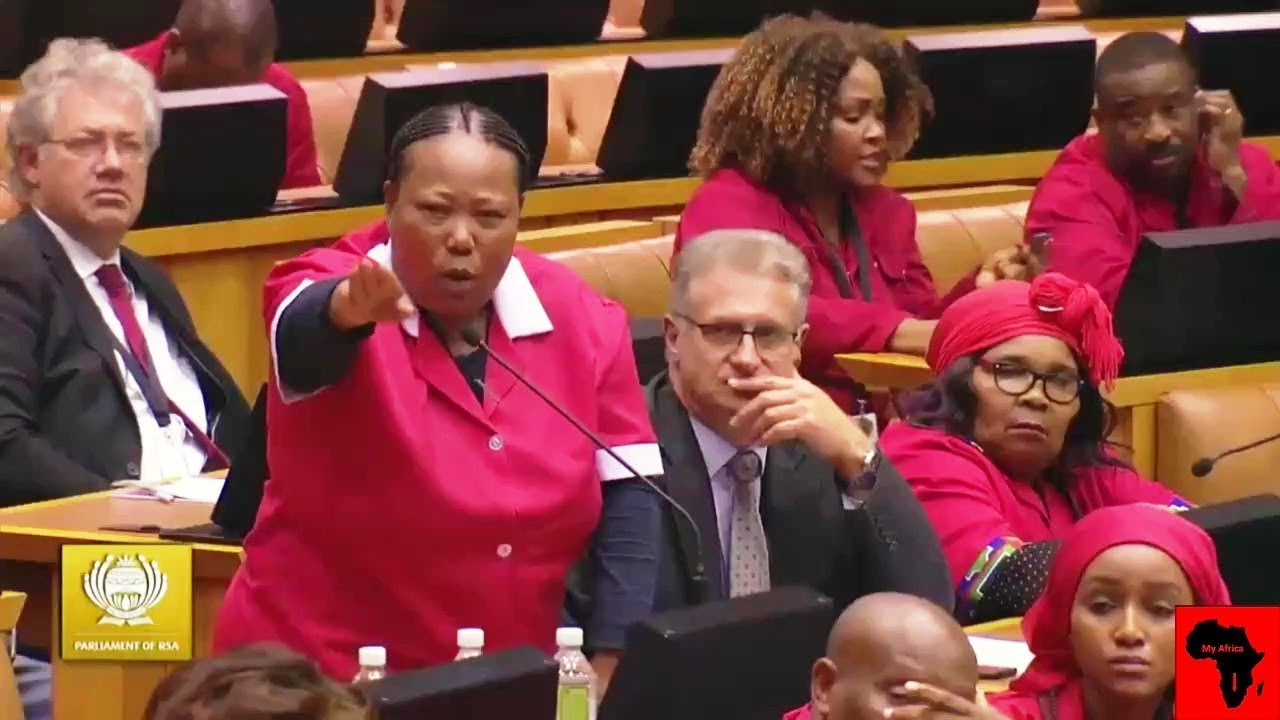 Проблема языка превращает парламент в цирк