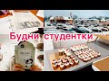 Специальность Туризм/учеба и выходные