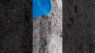 Manuel hand plowing tool