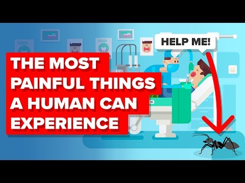 Most Painful Things A Human Can Experience