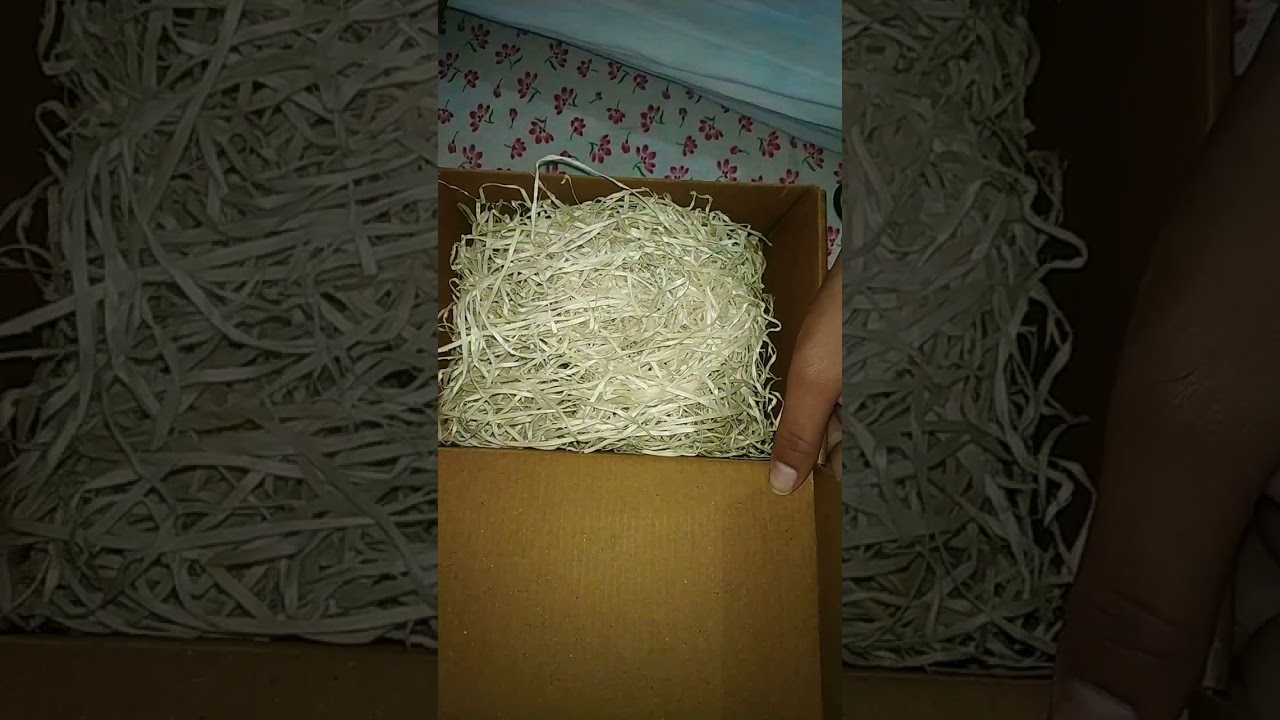 Rustic Art Neem Basil Face Wash | Organic & Natural Face Wash