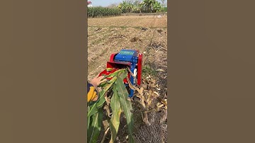 Máy Băm Cỏ 7TA Bình Minh Dùng Điện Gia Đình Băm Đến 8 Tạ Cỏ Mỗi Giờ