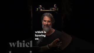 Power of Observing Your Own Emotions | Dan Harris X Rich Roll