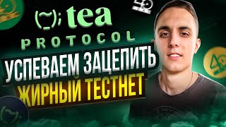 TEA Protocol Награждаемый Testnet | Tea testnet | Tea airdrop гайд | Tea protocol инструкция