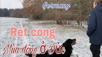 Đi xuyên rừng mùa đông | thôn quê nước Đức | Khám phá vùng quê | Nước Đức | Cuộc sống ở Đức