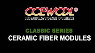 CCEWOOL® ceramic fiber module application example