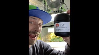 JOI CAKE CRASHER 2 WEED REVIEW