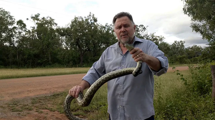 Rick Dart Does Attenborough