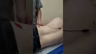 Acupuncture Pain and Wellness - Spring Renewal with Expert Care