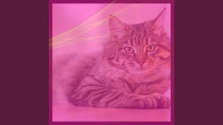 Subdued (Cute Kittens)