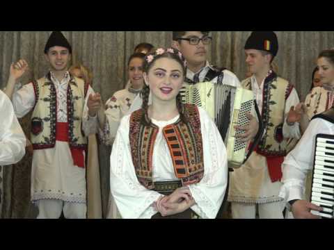 LAVINIA IASMINA ZSELNYAN - AZI II IARA ZI DE SARBATOARE