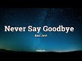 Never Say Goodbye - Bon Jovi (Terjemahan)