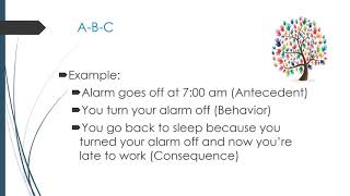Ababasics Functions Of Behavior