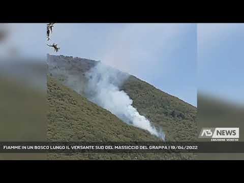 FIAMME IN UN BOSCO LUNGO IL VERSANTE SUD DEL MASSICCIO DEL GRAPPA | 19/04/2022