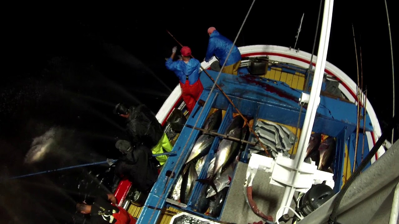 Atunero Hermanos Navarro 2019.