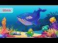 Sea Animals and Relaxing Music for Children | Fish, Whale, Shark, Turtle | Lullaby for Kids &amp; Babies