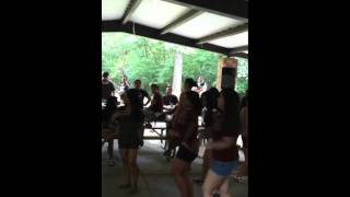 Chicago Greek Unity Picnic