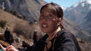 Bhoutan ... Vent de changement au pays du bonheur . arte