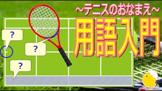 【テニス用語入門】いくつ分かる？テニスコート上のラインの名前、ラケットの各部分の名前をご紹介！【初心者】