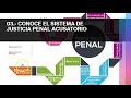 5 consejos para triunfar en audiencia en el Sistema de Justicia Penal Acusatorio y Oral en México.