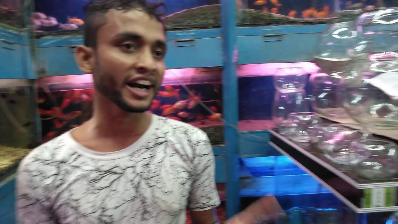 BD aquarium details price YouTube