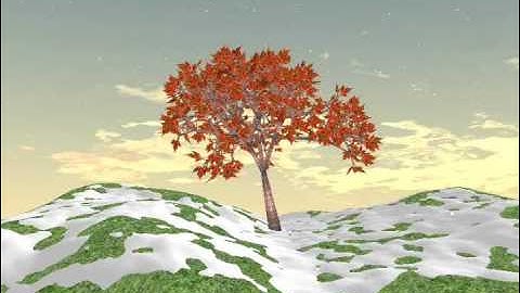 3D Real-Time Plants Modeleing with L-systems