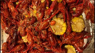 Crawfish  (Tôm Hùm Đất)