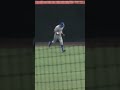 Launched then Robbed by Andrew Amato #caabaseball #baseball #collegebaseball #ncaabaseball