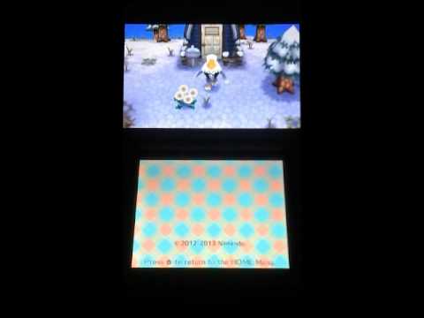 Extracting and Injecting Town of Animal Crossing New Leaf