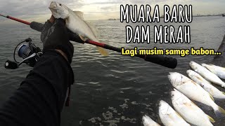 JANGAN DI SIA-SIAKAN MUMPUNG LAGI MUSIM!! mancing ikan samge muara baru dam merah.